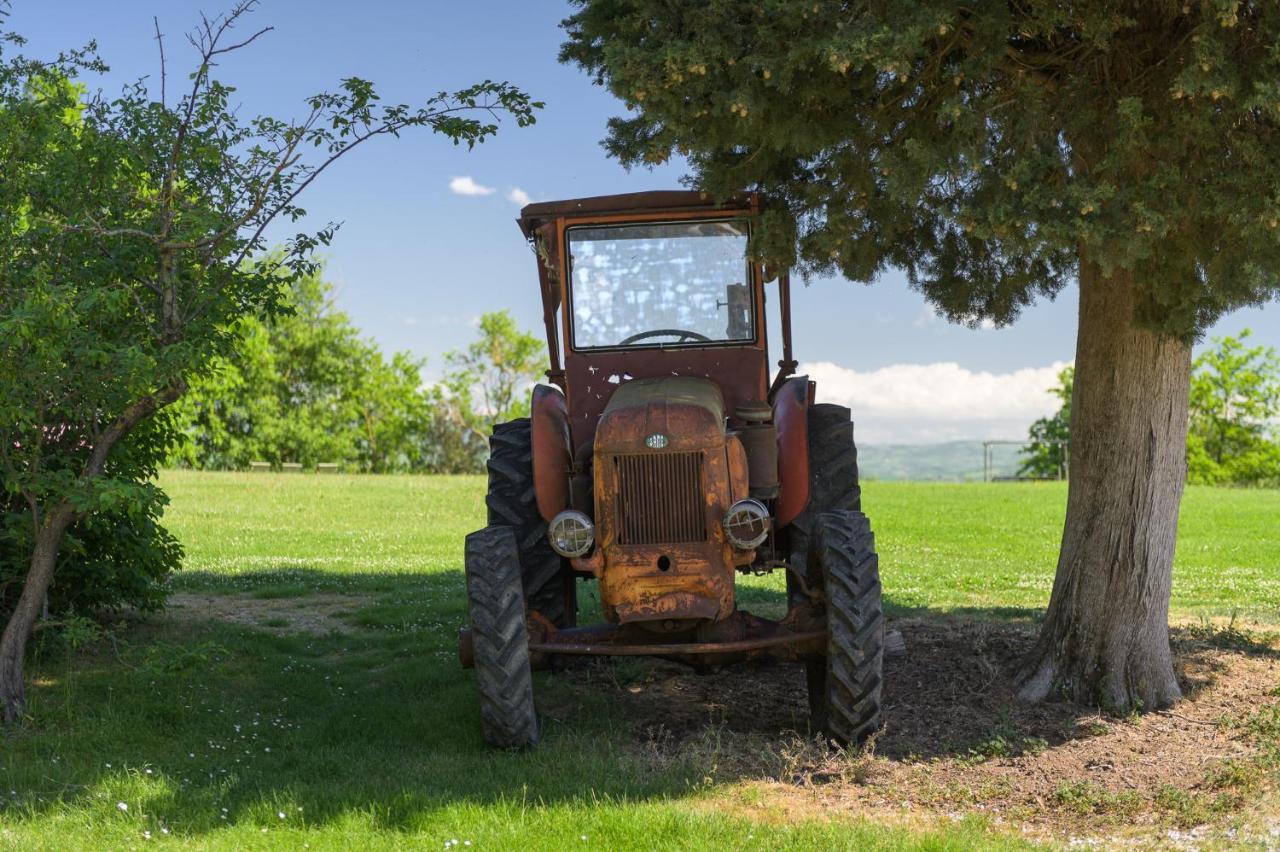 הוילה פיינצה Agriturismo Cretaiole מראה חיצוני תמונה