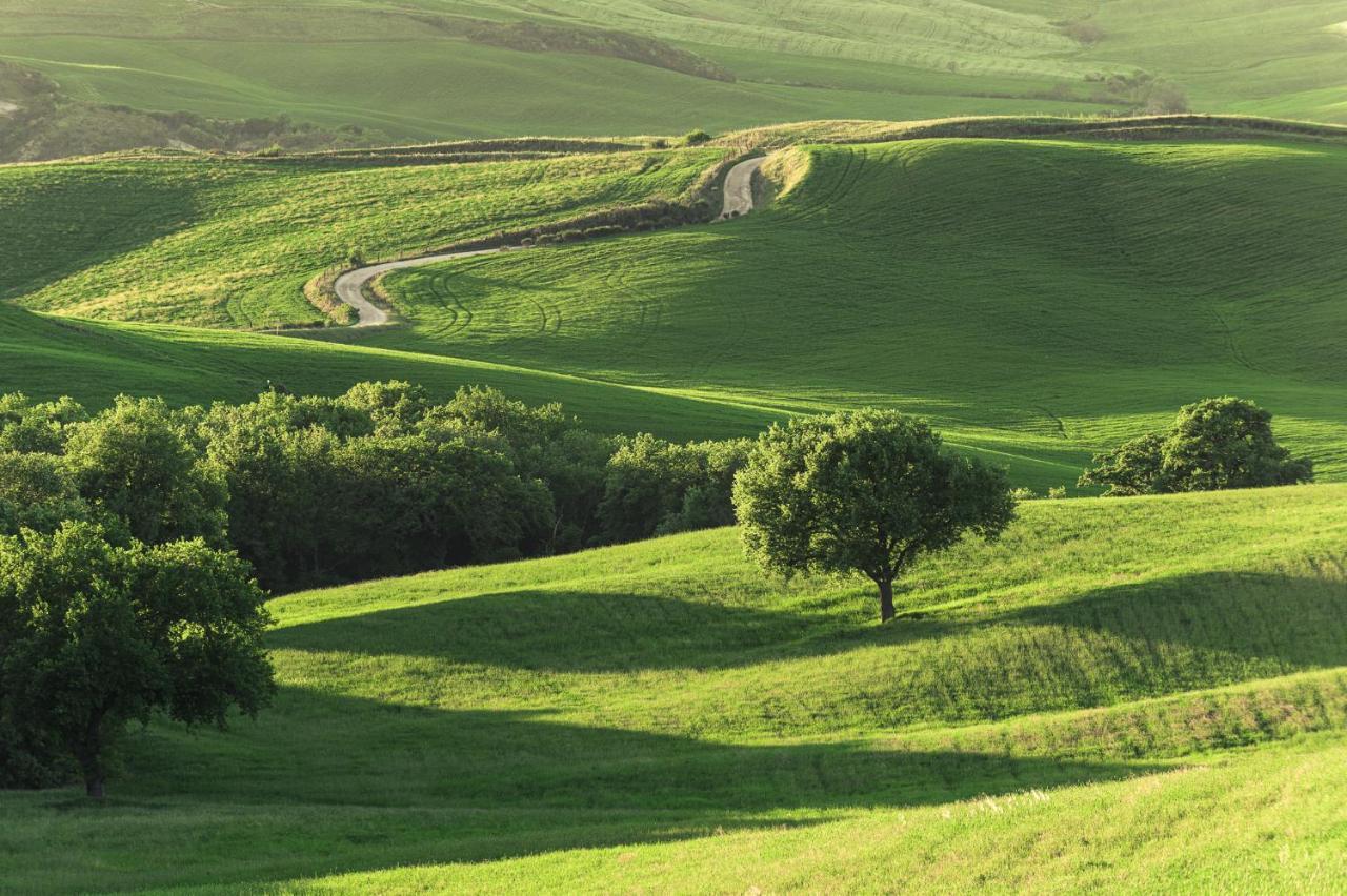 הוילה פיינצה Agriturismo Cretaiole מראה חיצוני תמונה